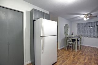Photo 11: 33 Erickson Drive: Red Deer Detached for sale : MLS®# A2012908