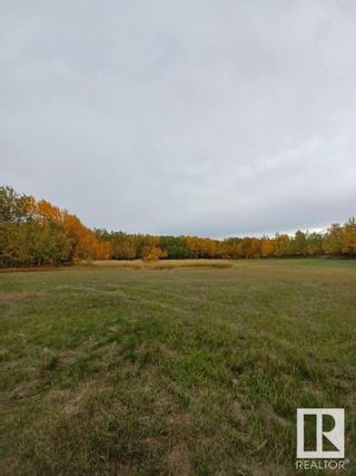 Photo 9: 53027 RGE RD 215: Rural Strathcona County Rural Land/Vacant Lot for sale : MLS®# E4293791