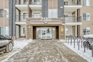 Photo 33: 303 7180 80 Avenue NE in Calgary: Saddle Ridge Apartment for sale : MLS®# A2023419