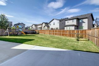 Photo 45: 55 Skyview Shores Court NE in Calgary: Skyview Ranch Detached for sale : MLS®# A2003219