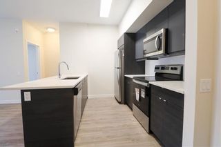 Photo 4: 203 50 Philip Lee Drive in Winnipeg: Crocus Meadows Condominium for sale (3K)  : MLS®# 202114301