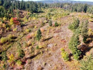 Photo 6: 402 Princess Street, in Enderby: Vacant Land for sale : MLS®# 10265189