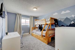 Photo 25: 234 Canoe Square SW: Airdrie Detached for sale : MLS®# A2123343