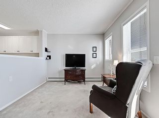 Photo 9: 431 5000 Somervale Court SW in Calgary: Somerset Apartment for sale : MLS®# A2011064