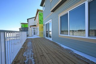 Photo 28: 28 Cornerbrook Cove NE in Calgary: Cornerstone Detached for sale : MLS®# A2051748