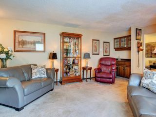 Photo 16: 804 Pepin Pl in Saanich: SW Northridge House for sale (Saanich West)  : MLS®# 933624