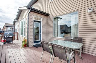 Photo 39: 56 BRIGHTONWOODS Grove SE in Calgary: New Brighton Detached for sale : MLS®# A1026524