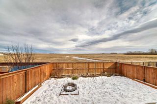 Photo 45: 149 Williamstown Park NW: Airdrie Detached for sale : MLS®# A2119301