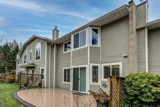 Photo 28: 114 22515 116 Avenue in Maple Ridge: East Central Townhouse for sale in "Fraserview Village" : MLS®# R2668199