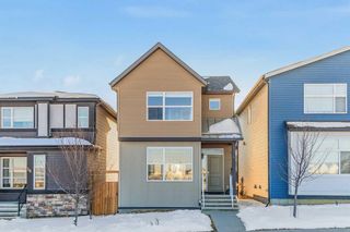 Main Photo: 52 Howse Drive NE in Calgary: Livingston Detached for sale : MLS®# A2118369