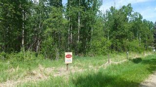 Photo 22: 54411 RR 40: Rural Lac Ste. Anne County Rural Land/Vacant Lot for sale : MLS®# E4239946