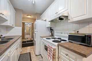 Photo 7: 320 635 4 Avenue NE in Calgary: Bridgeland/Riverside Apartment for sale : MLS®# A2048372
