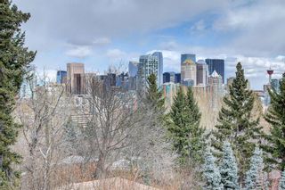 Photo 49: 1320 Prospect Avenue SW in Calgary: Upper Mount Royal Detached for sale : MLS®# A2035692