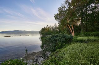 Photo 32: 565 Towner Park Rd in North Saanich: NS Deep Cove House for sale : MLS®# 911735