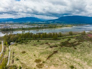 Photo 2: 17931 OLD DEWDNEY TRUNK Road in Pitt Meadows: North Meadows PI Agri-Business for sale : MLS®# C8050535