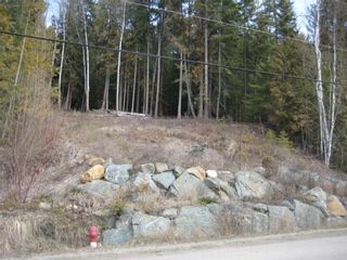 Photo 9: 141 Estate Drive in Anglemont: North Shuswap Land Only for sale (Shuswap/Revelstoke)  : MLS®# 10002849