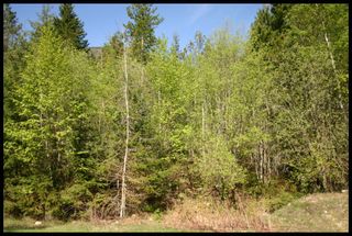 Photo 28: 21 6500 Southwest 15 Avenue in Salmon Arm: Panorama Ranch Vacant Land for sale : MLS®# 10230290