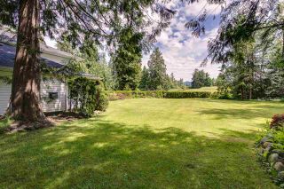 Photo 35: 8733 DEWDNEY TRUNK Road in Mission: Mission BC House for sale : MLS®# R2465474