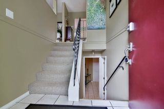 Photo 9: 20801 MCFARLANE Avenue in Maple Ridge: Southwest Maple Ridge House for sale : MLS®# R2065058