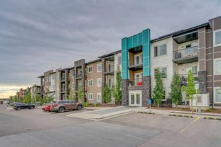 Photo 1: 313 20 Sage Hill Terrace NW in Calgary: Sage Hill Apartment for sale : MLS®# A2016464
