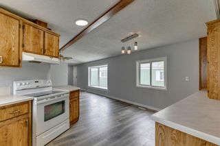 Photo 11: 323 Erin Woods Green SE in Calgary: Erin Woods Detached for sale : MLS®# A1219401
