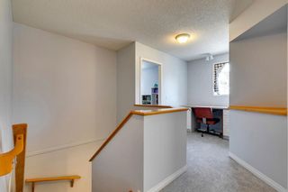 Photo 28: 7771 Springbank Way SW in Calgary: Springbank Hill Detached for sale : MLS®# A2058722