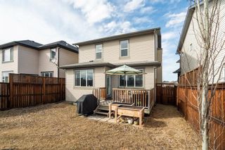 Photo 29: 200 Cranberry Circle SE in Calgary: Cranston Detached for sale : MLS®# A1199984
