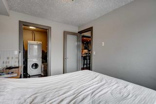 Photo 17: 203 2411 29 Street SW in Calgary: Killarney/Glengarry Apartment for sale : MLS®# A2128044