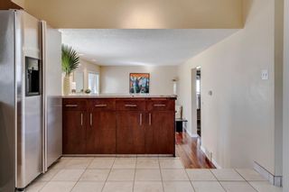 Photo 20: 139 Cantrell Place SW in Calgary: Canyon Meadows Detached for sale : MLS®# A1096230