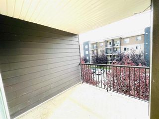Photo 14: 317 7110 80 Avenue NE in Calgary: Saddle Ridge Apartment for sale : MLS®# A2081695