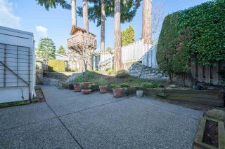 Photo 12: 2125 LAWSON Avenue in West Vancouver: Dundarave House for sale in "Dundarave" : MLS®# R2329676