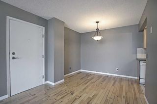 Photo 9: 302 1540 29 Street NW in Calgary: St Andrews Heights Apartment for sale : MLS®# A2127097