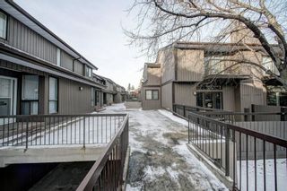 Photo 4: 1015 3240 66 Avenue SW in Calgary: Lakeview Row/Townhouse for sale : MLS®# C4274958