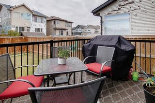 Photo 27: 249 Skyview Shores Manor NE in Calgary: Skyview Ranch Detached for sale : MLS®# A1040770