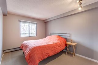 Photo 10: 303 2214 14A Street SW in Calgary: Bankview Apartment for sale : MLS®# A1212171
