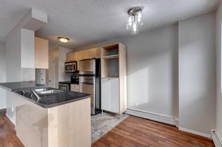 Photo 1: 401 635 57 Avenue SW in Calgary: Windsor Park Apartment for sale : MLS®# A2105894