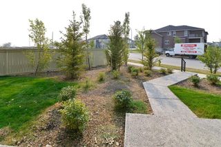 Photo 15: 107 15 Saddlestone Way NE in Calgary: Saddle Ridge Apartment for sale : MLS®# A1216535