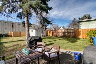 Photo 35: 2719 16A Street SE in Calgary: Inglewood Detached for sale : MLS®# A1156165