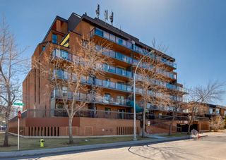 Main Photo: 209 1900 25A Street SW in Calgary: Richmond Apartment for sale : MLS®# A2136863