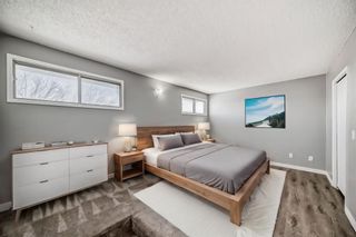 Photo 17: 111 Pinemill Mews NE in Calgary: Pineridge Detached for sale : MLS®# A2115447