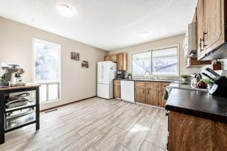 Photo 8: 143 Pinemill Way NE in Calgary: Pineridge Detached for sale : MLS®# A2118467