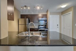 Photo 18: 1110 1317 27 Street SE in Calgary: Albert Park/Radisson Heights Apartment for sale : MLS®# A2051120
