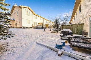 Photo 32: 25 Citadel Meadow Gardens NW in Calgary: Citadel Row/Townhouse for sale : MLS®# A2106082