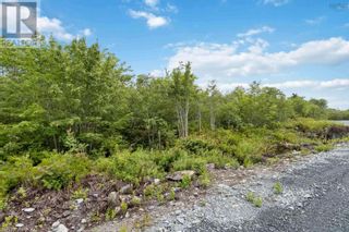 Photo 17: Lot 7 Maple Ridge Drive in White Point: Vacant Land for sale : MLS®# 202315168