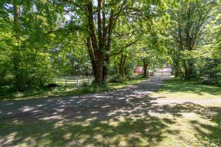 Photo 36: 1240 JUDD Road in Squamish: Brackendale House for sale : MLS®# R2444989
