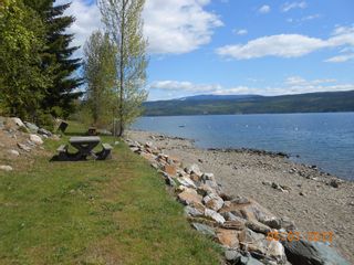 Photo 11: 108 Airstrip Road in Anglemont: North Shuswap Land Only for sale (Shuswap)  : MLS®# 10067018