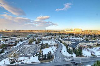 Photo 34: 2007 145 Point Drive NW in Calgary: Point McKay Apartment for sale : MLS®# A1044605
