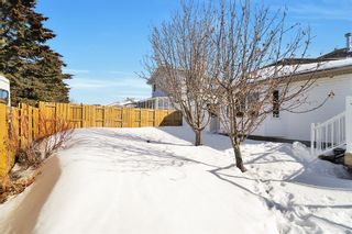 Photo 48: 5520 Silverthorn Road: Olds Detached for sale : MLS®# A2034295