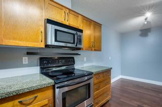 Photo 9: 102 333 5 Avenue NE in Calgary: Crescent Heights Apartment for sale : MLS®# A2123524
