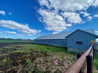 Photo 19: 8058 Road 125 NE Road in Arborg: Silver Farm for sale (R19)  : MLS®# 202220801